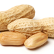 Illustration for article titled Scientists May Be Close to a Peanut Allergy Cure
